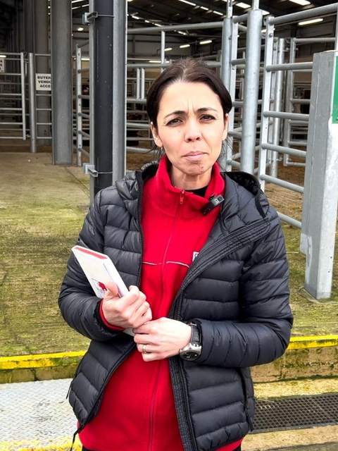 Esin Manav at a UK livestock market